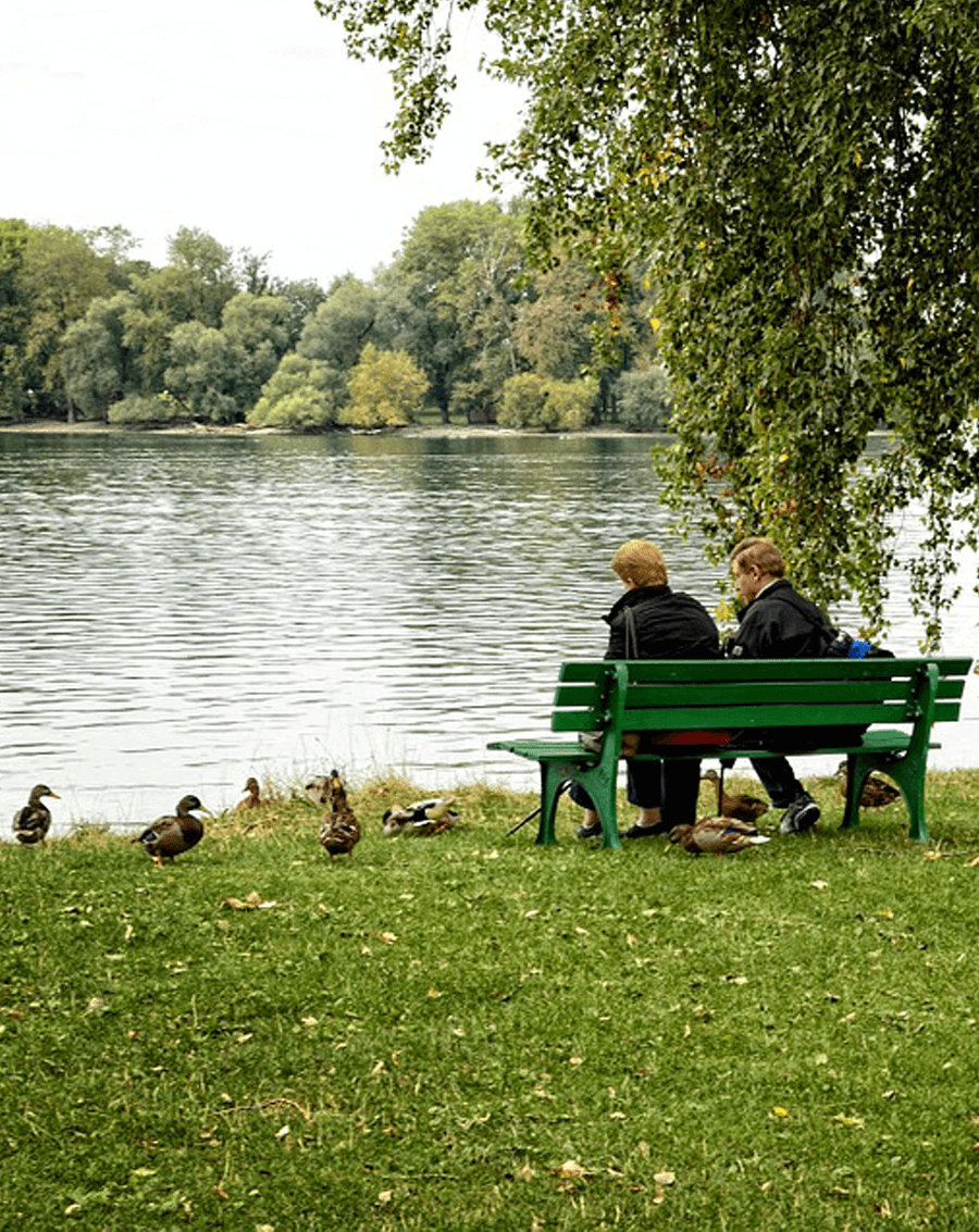 Couples counselling in Hampshire