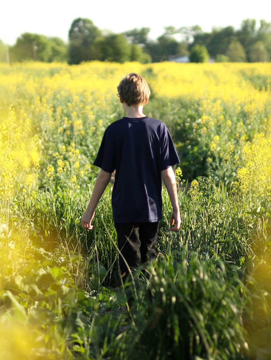 Family counselling in Christchurch