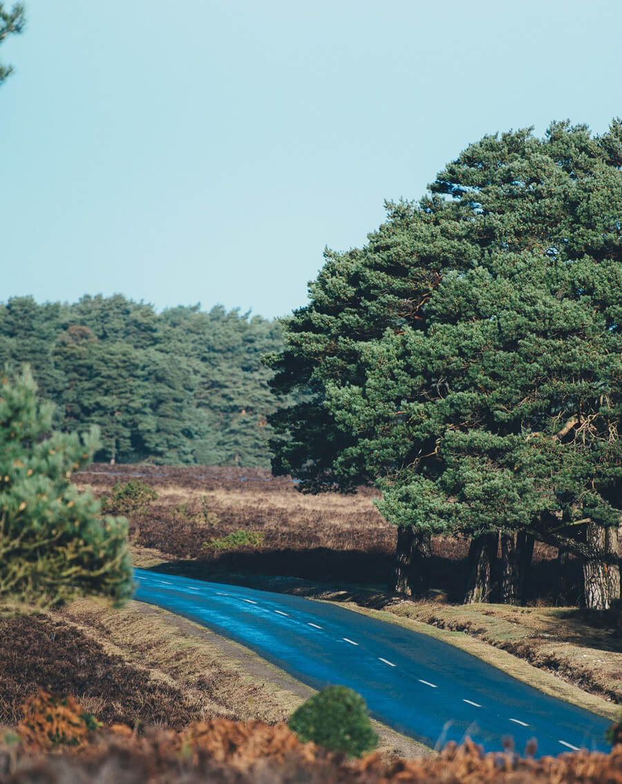 Family counselling in the New Forest